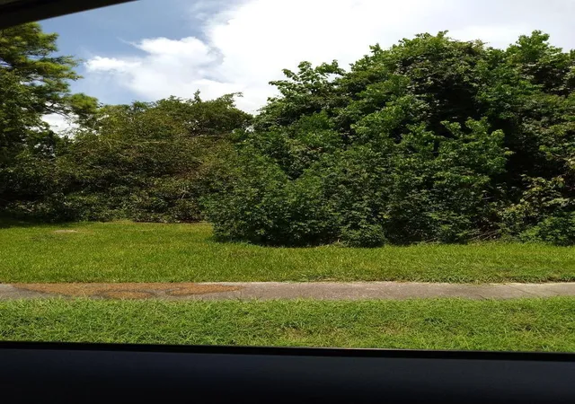 Photo 1 of Land for sale at 0 Gunter St, Houston, TX 77020 | MLS# 12337274 | Listing updated on 2026-05-20