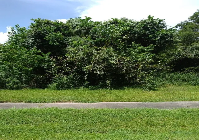 Photo 2 of Land for sale at 0 Gunter St, Houston, TX 77020 | MLS# 12337274 | Listing updated on 2026-05-20
