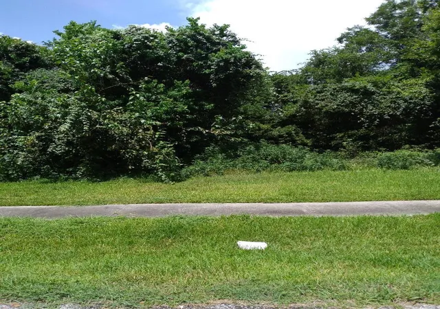 Photo 3 of Land for sale at 0 Gunter St, Houston, TX 77020 | MLS# 12337274 | Listing updated on 2026-05-20