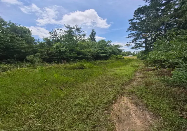 Photo 2 of Land for sale at 65 Road 5264, Cleveland, TX 77327 | MLS# 57749695 | Listing updated on 2026-08-07