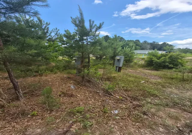 Photo 3 of Land for sale at 65 Road 5264, Cleveland, TX 77327 | MLS# 57749695 | Listing updated on 2026-08-07