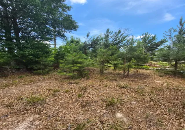 Photo 3 of Land for sale at 65 Road 5264, Cleveland, TX 77327 | MLS# 57749695 | Listing updated on 2026-08-07