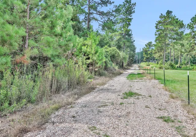 4th image of 1001 County Line Rd, Shepherd, TX 77371 | MLS# 56532340