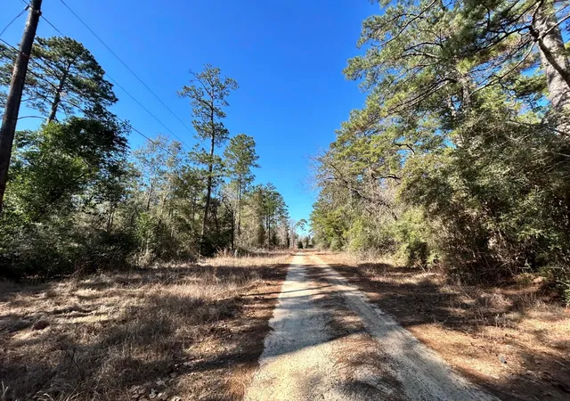 Homes for sale in Ivanhoe, TX | Lot 8 Sir Ewaine Dr, Ivanhoe, TX 75979 | MLS# 57892685