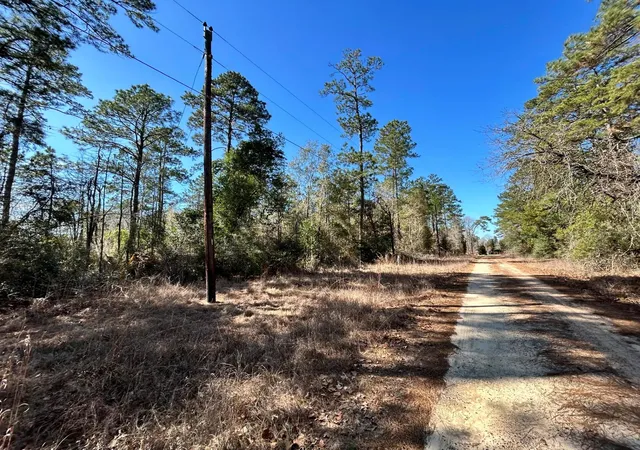 3rd image of Lot 8 Sir Ewaine Dr, Woodville, TX 75979 | MLS# 57892685
