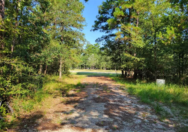Photo 3 of Land for sale at Tbd Roundabout Ln, Huntsville, TX 77320 | MLS# 85703321 | Listing updated on 2026-09-22