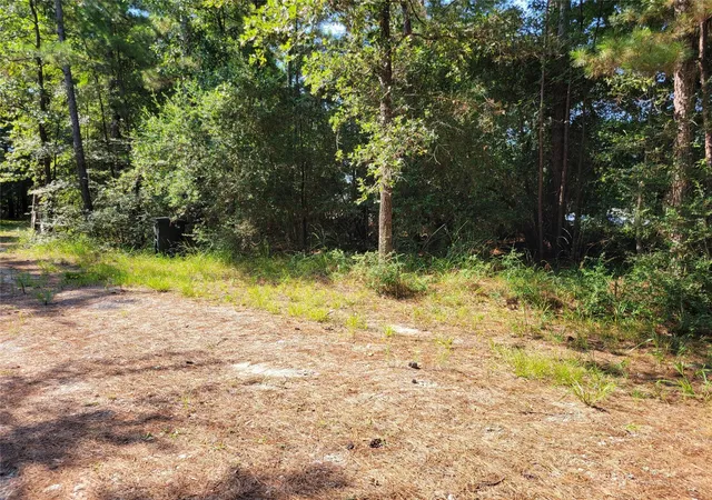 Photo 3 of Land for sale at Tbd Roundabout Ln, Huntsville, TX 77320 | MLS# 85703321 | Listing updated on 2026-09-22