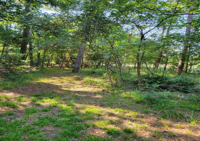Photo 4 of Land for sale at Tbd Roundabout Ln, Huntsville, TX 77320 | MLS# 85703321 | Listing updated on 2026-09-22