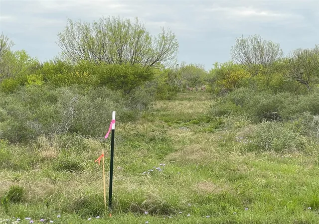 Photo 1 of Land for sale at Lot 23 Pr Frio Ests Dr, Moore, TX 78057 | MLS# 98053674 | Listing updated on 2026-08-09
