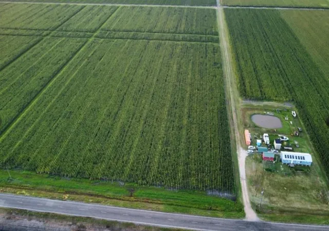 Photo 2 of Land for sale at 0 Fm 1164 Rd, East Bernard, TX 77435 | MLS# 86645937 | Listing updated on 2026-09-19
