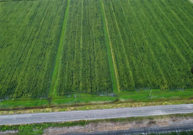 Photo 3 of Land for sale at 0 Fm 1164 Rd, East Bernard, TX 77435 | MLS# 86645937 | Listing updated on 2026-09-19