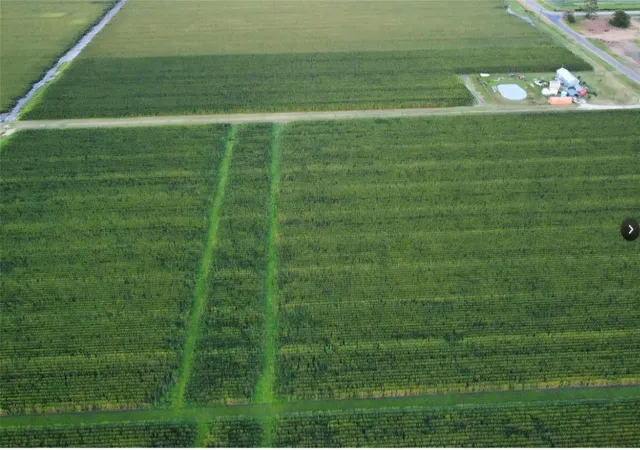 Photo 3 of Land for sale at 0 Fm 1164 Rd, East Bernard, TX 77435 | MLS# 86645937 | Listing updated on 2026-09-19