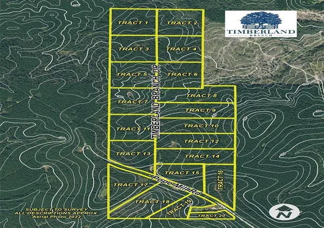 10th image of Tract 10 Timberland Branch Dr, Woodville, TX 75979 | MLS# 79947837