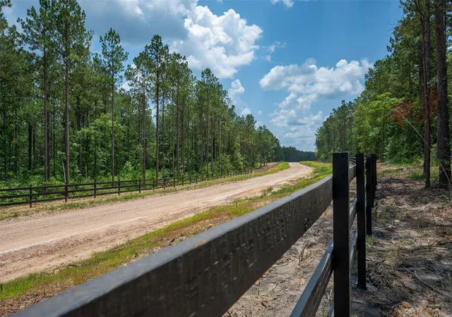 1st image of Tract 10 Timberland Branch Dr, Woodville, TX 75979 | MLS# 79947837