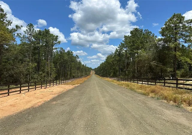3rd image of Tract 10 Timberland Branch Dr, Woodville, TX 75979 | MLS# 79947837