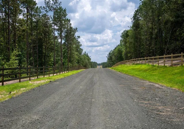 4th image of Tract 10 Timberland Branch Dr, Woodville, TX 75979 | MLS# 79947837