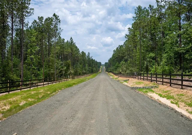 5th image of Tract 10 Timberland Branch Dr, Woodville, TX 75979 | MLS# 79947837