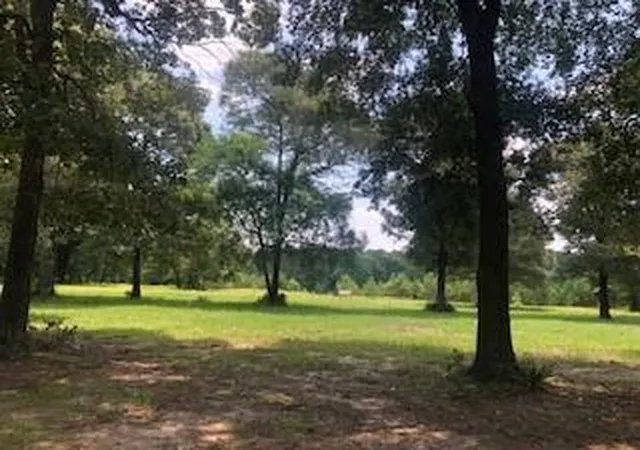 3rd image of 000 Counts Rd, Pointblank, TX 77364 | MLS# 64450724