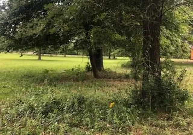 4th image of 000 Counts Rd, Pointblank, TX 77364 | MLS# 64450724