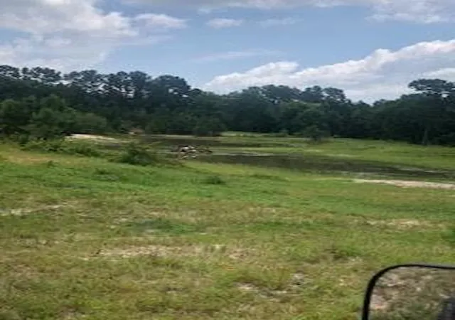 5th image of 000 Counts Rd, Pointblank, TX 77364 | MLS# 64450724