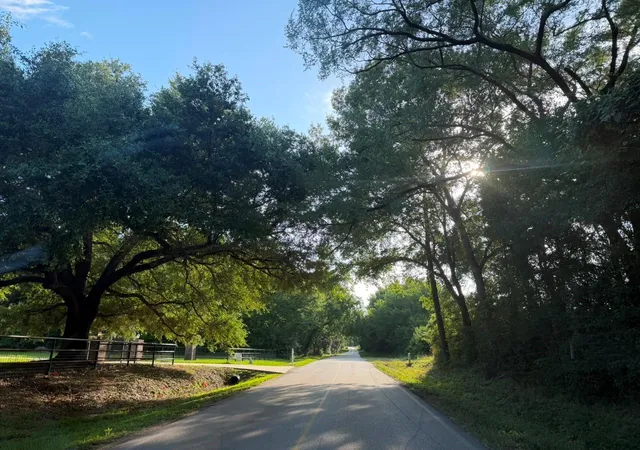 Photo 2 of Land for sale at Tdb Lot 4 Bellinger Rd, Montgomery, TX 77316 | MLS# 25513872 | Listing updated on 2026-07-16