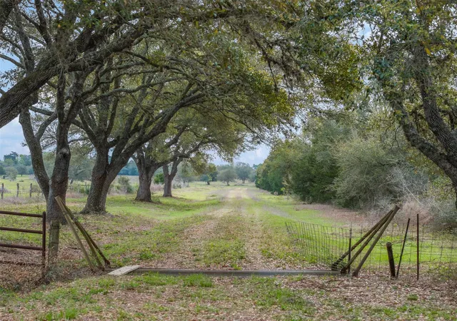 25th image of 1017 New Ulm Rd, Cat Spring, TX 78933 | MLS# 42659791