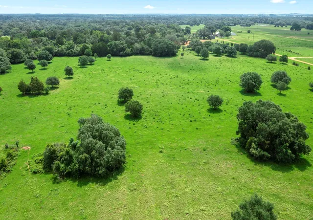 2nd image of 1017 New Ulm Rd, Cat Spring, TX 78933 | MLS# 42659791