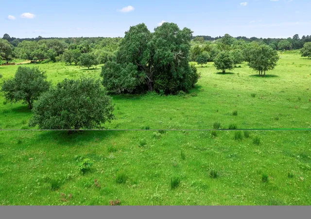 3rd image of 1017 New Ulm Rd, Cat Spring, TX 78933 | MLS# 42659791