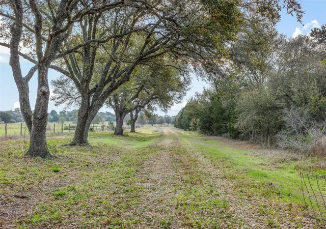 5th image of 1017 New Ulm Rd, Cat Spring, TX 78933 | MLS# 42659791