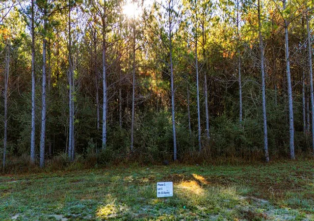 2nd image of 011 Magnolia Ranch Rd, Onalaska, TX 77360 | MLS# 80051360