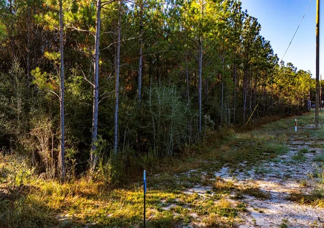 3rd image of 011 Magnolia Ranch Rd, Onalaska, TX 77360 | MLS# 80051360