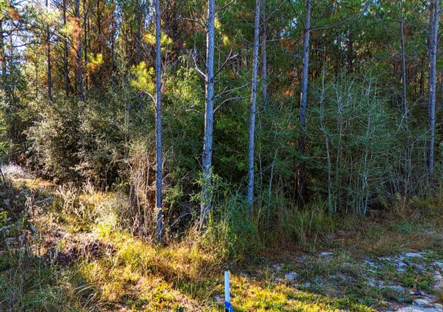 4th image of 011 Magnolia Ranch Rd, Onalaska, TX 77360 | MLS# 80051360