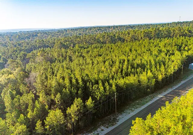 5th image of 011 Magnolia Ranch Rd, Onalaska, TX 77360 | MLS# 80051360