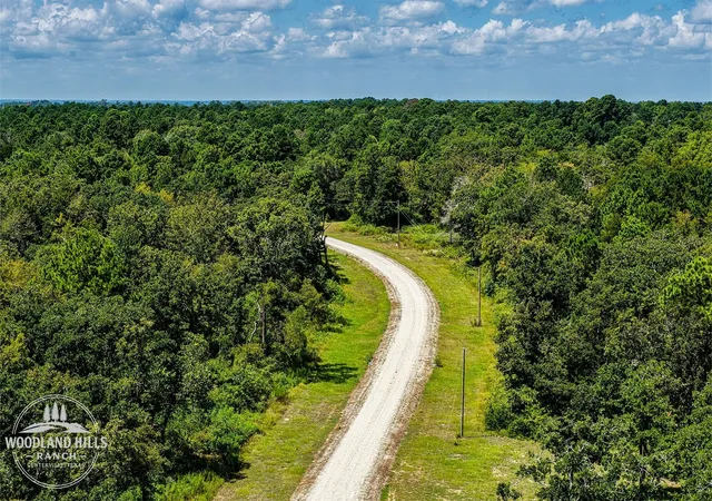 1st image of 10 Acres Lot 81 Woodland Hills Ranch, Centerville, TX 75833 | MLS# 39910007
