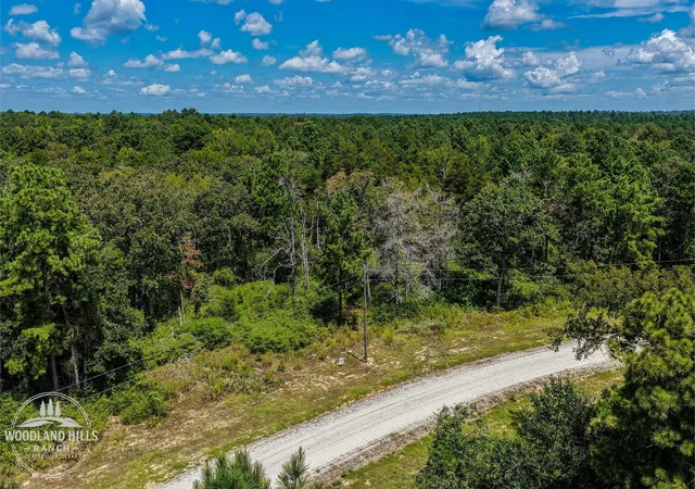 Photo 3 of Land for sale at 10 Acres Lot 81 Woodland Hills Ranch, Centerville, TX 75833 | MLS# 39910007 | Listing updated on 2026-09-21