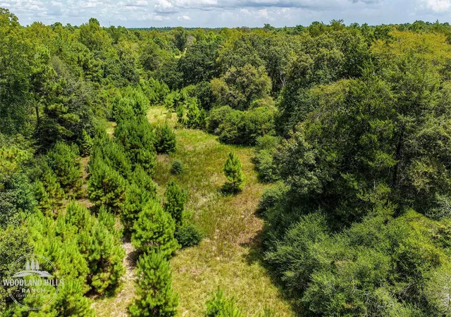 Photo 3 of Land for sale at 10 Acres Lot 81 Woodland Hills Ranch, Centerville, TX 75833 | MLS# 39910007 | Listing updated on 2026-09-21