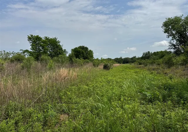 Photo 3 of Land for sale at Tbd S US Hwy 287, Crockett, TX 75835 | MLS# 77464628 | Listing updated on 2026-07-02