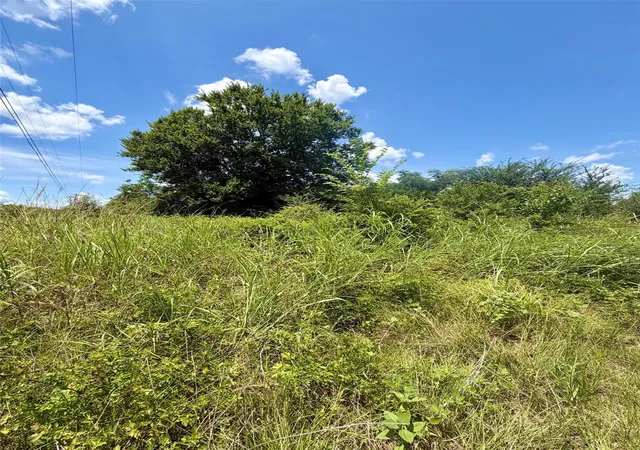 Photo 4 of Land for sale at Tbd S US Hwy 287, Crockett, TX 75835 | MLS# 77464628 | Listing updated on 2026-07-02
