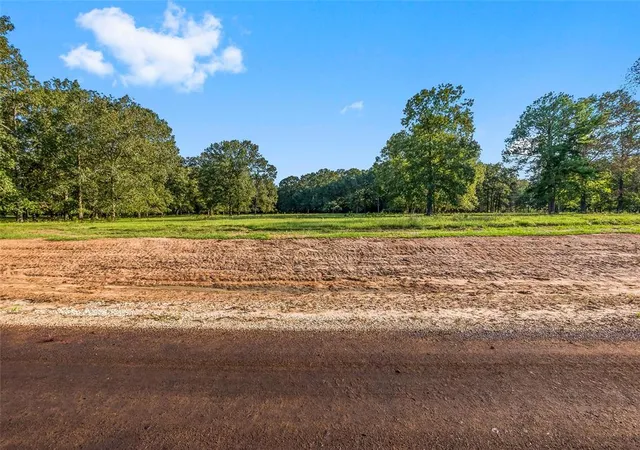 1st image of 6052 Alans Memorial Ln, New Waverly, TX 77358 | MLS# 47473602