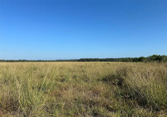 1st image of Lot 60 Minnie West Road, Hull, TX 77564 | MLS# 22934458