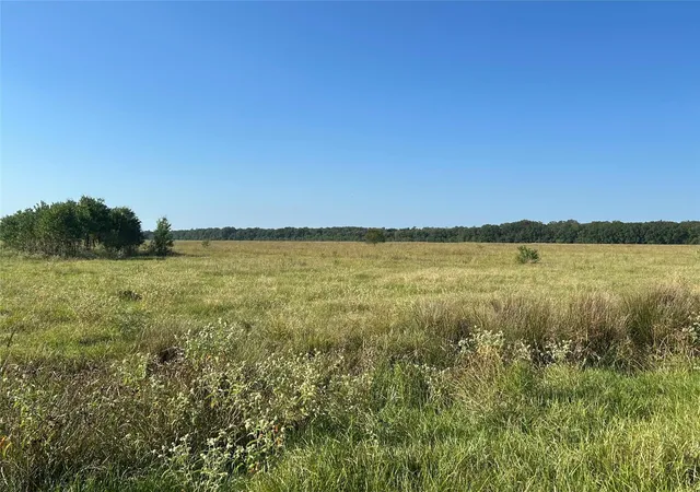 2nd image of Lot 60 Minnie West Road, Hull, TX 77564 | MLS# 22934458