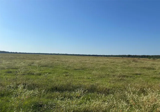 3rd image of Lot 60 Minnie West Road, Hull, TX 77564 | MLS# 22934458