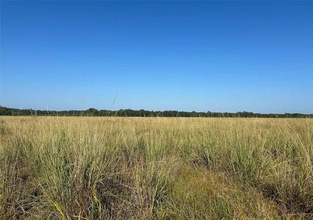 4th image of Lot 60 Minnie West Road, Hull, TX 77564 | MLS# 22934458