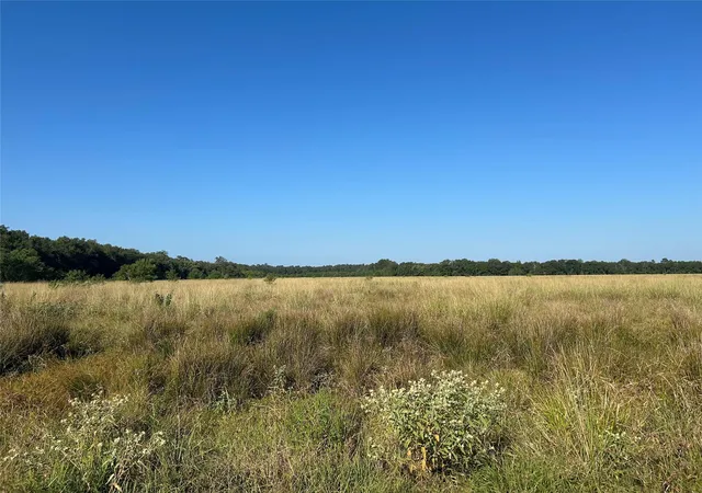 5th image of Lot 60 Minnie West Road, Hull, TX 77564 | MLS# 22934458