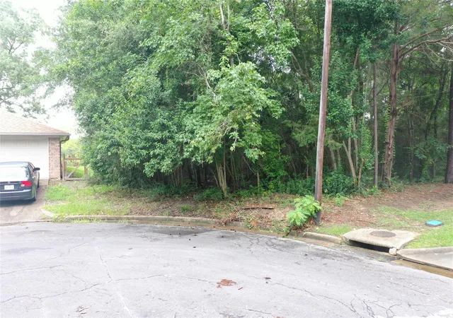 Photo 2 of Land for sale at Tbd Brinwood Pl, Livingston, TX 77351 | MLS# 36507948 | Listing updated on 2025-11-18