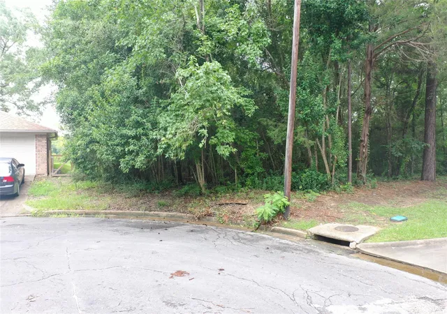 Photo 3 of Land for sale at Tbd Brinwood Pl, Livingston, TX 77351 | MLS# 36507948 | Listing updated on 2025-11-18