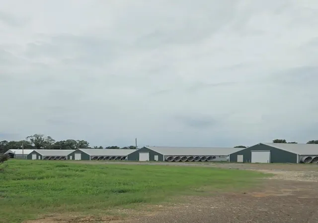 Photo 2 of Sale Pending at 6140 & 6142 E Hwy 84, Palestine, TX 75801 | MLS# 85069595 | Listing updated on 2026-08-25