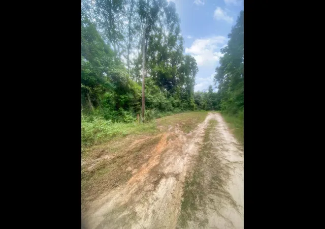 Photo 3 of Land for sale at 0 Road 2745, Cleveland, TX 77327 | MLS# 5727915 | Listing updated on 2026-08-26