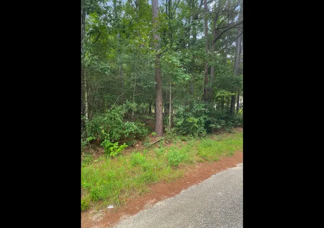 Photo 4 of Land for sale at 0 Road 2745, Cleveland, TX 77327 | MLS# 5727915 | Listing updated on 2026-08-26