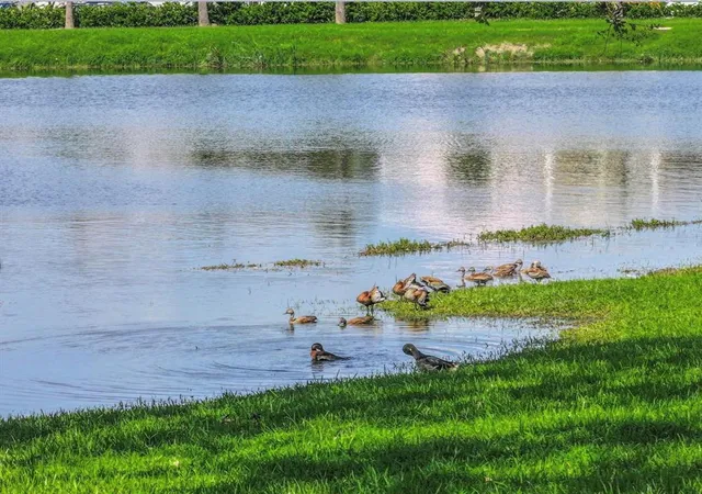 Photo 4 of Land for sale at 18 Evia Main, Galveston, TX 77554 | MLS# 27917644 | Listing updated on 2026-07-20
